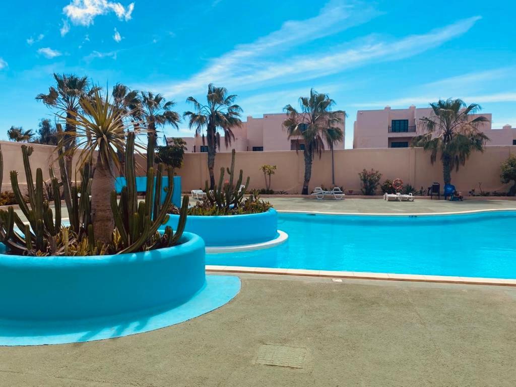 Appartamento Surf And Chill Bungalow 70 Parque Holandes Esterno foto